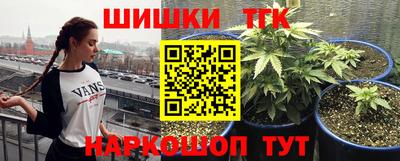 мдпв Донской