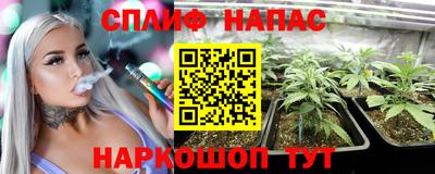 мдпв Дубна