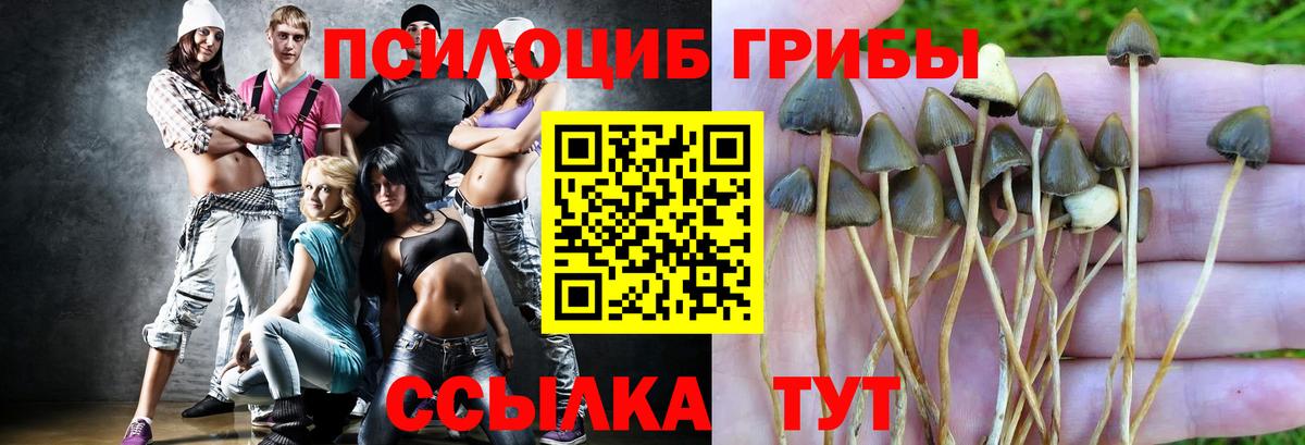 Галлюциногенные грибы MAGIC MUSHROOMS Балашов