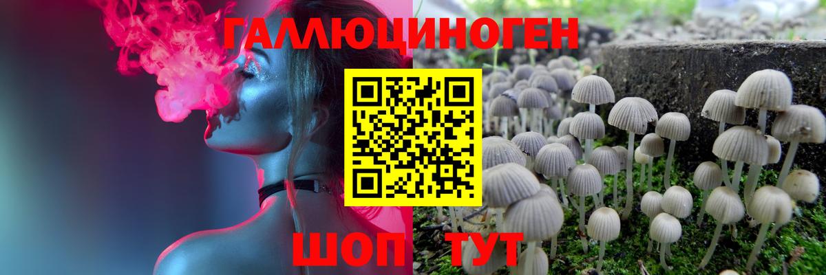 Галлюциногенные грибы мухоморы  Вход с VPN  Псилоцибиновые грибы мицелий  Балашов 